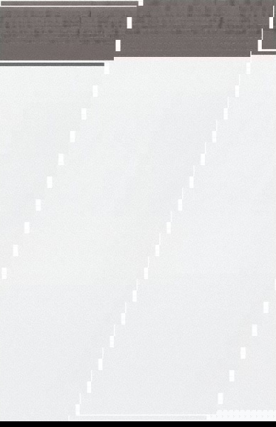 Courier Mailing Envelope: 9